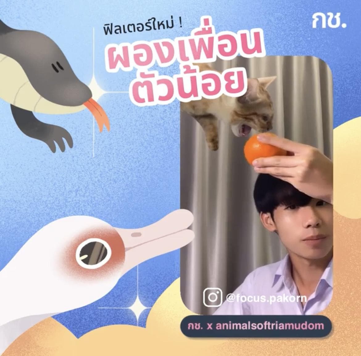IG filter: ผองเพื่อนตัวน้อย